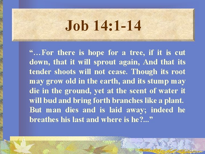 Job 14: 1 -14 “…For there is hope for a tree, if it is