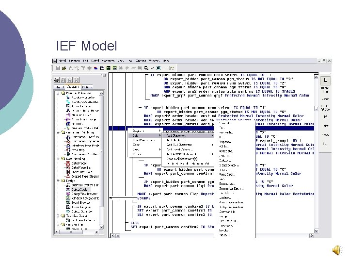 IEF Model 