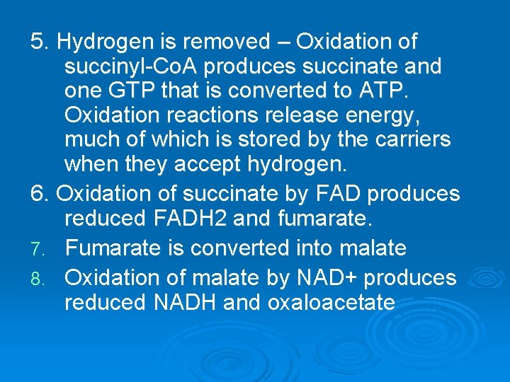 5. Hydrogen is removed – Oxidation of succinyl-Co. A produces succinate and one GTP