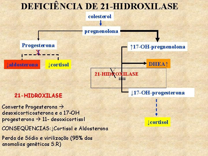 DEFICIÊNCIA DE 21 -HIDROXILASE colesterol pregnenolona Progesterona ↑ 17 -OH-pregnenolona X ↓aldosterona DHEA↑ ↓cortisol