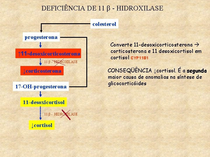 DEFICIÊNCIA DE 11 β - HIDROXILASE colesterol progesterona ↑ 11 -desoxicorticosterona 11 β -