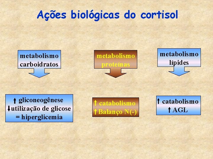 Ações biológicas do cortisol metabolismo carboidratos metabolismo proteínas metabolismo lípides gliconeogênese utilização de glicose