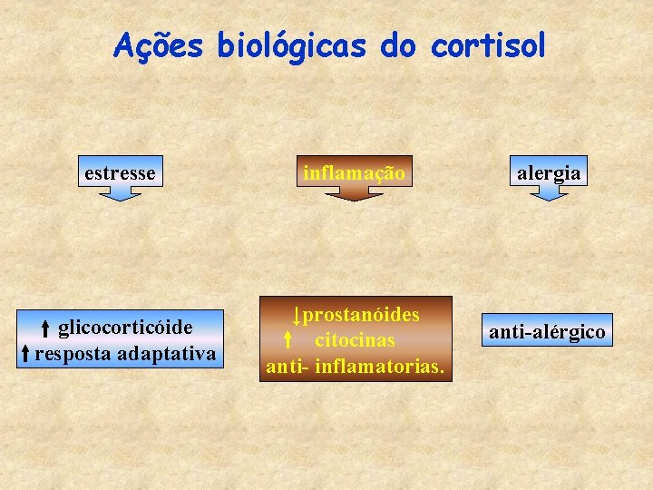 Ações biológicas do cortisol estresse inflamação alergia glicocorticóide resposta adaptativa ↓prostanóides citocinas anti- inflamatorias.