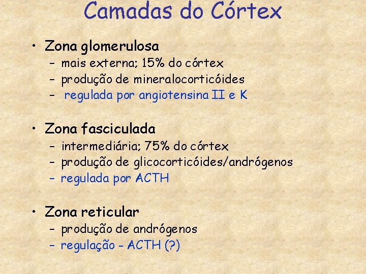 Camadas do Córtex • Zona glomerulosa – mais externa; 15% do córtex – produção