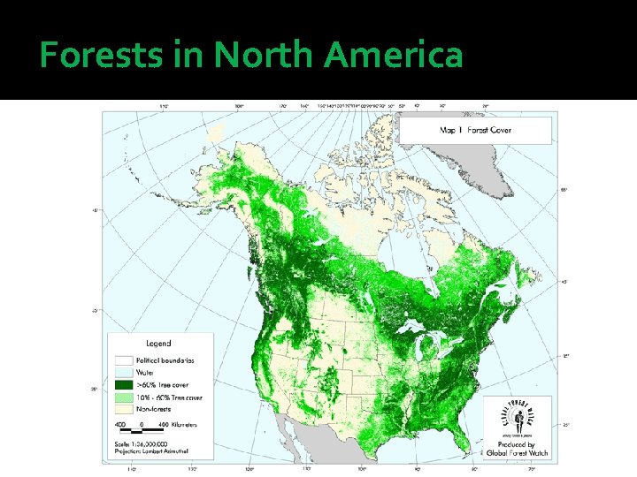 Forests in North America 