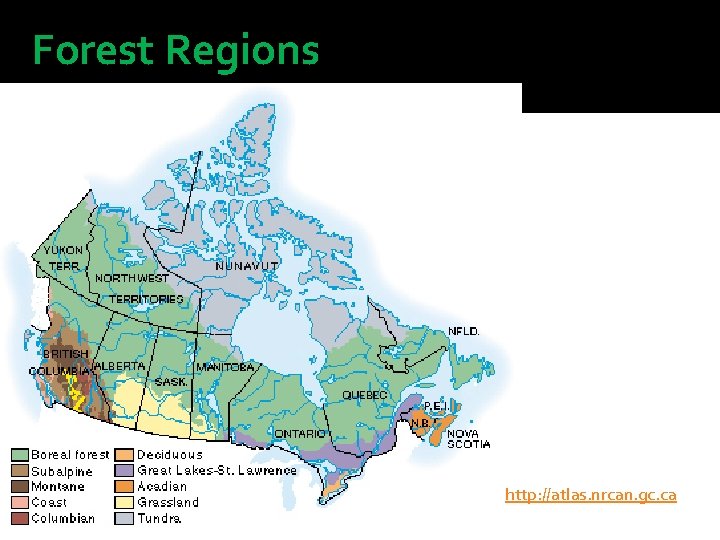 Forest Regions http: //atlas. nrcan. gc. ca 