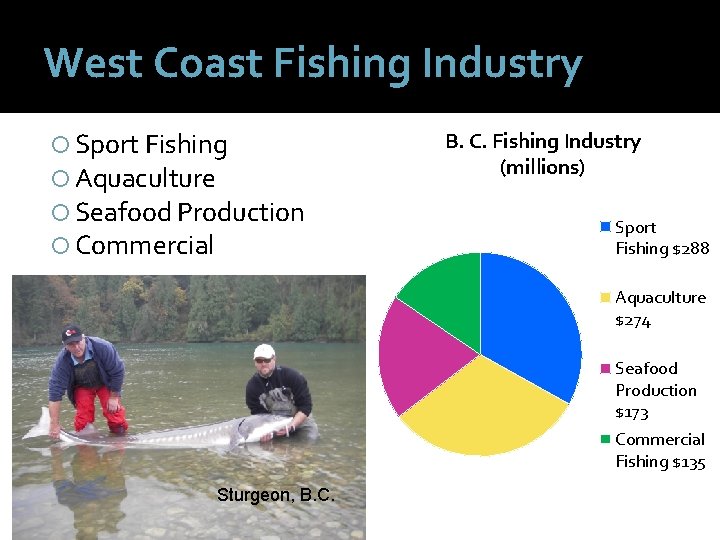 West Coast Fishing Industry Sport Fishing Aquaculture Seafood Production Commercial B. C. Fishing Industry