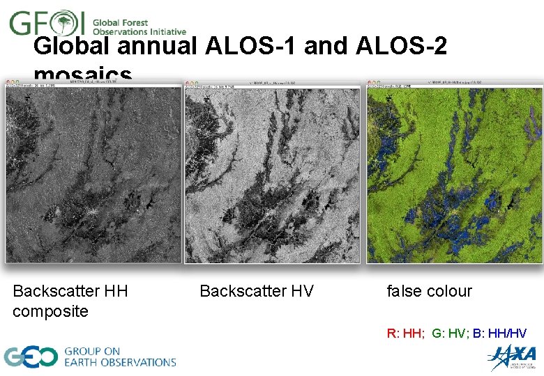 Global annual ALOS-1 and ALOS-2 mosaics Backscatter HH composite Backscatter HV false colour R: