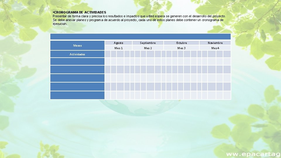  • CRONOGRAMA DE ACTIVIDADES Presentar de forma clara y precisa los resultados e