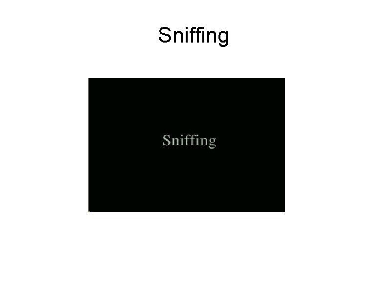Sniffing 