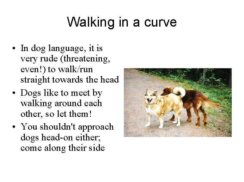 Walking in a curve • In dog language, it is very rude (threatening, even!)