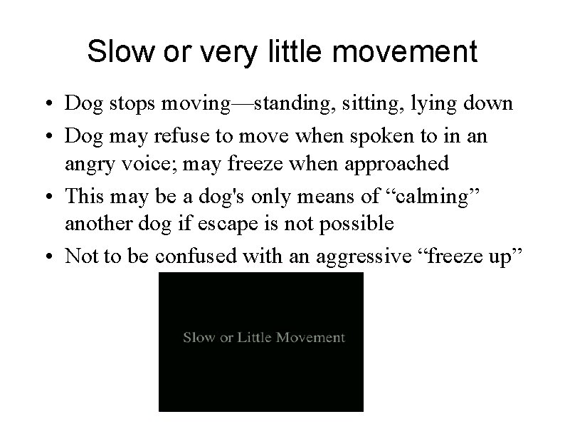 Slow or very little movement • Dog stops moving—standing, sitting, lying down • Dog