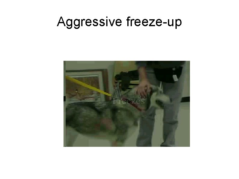 Aggressive freeze-up 