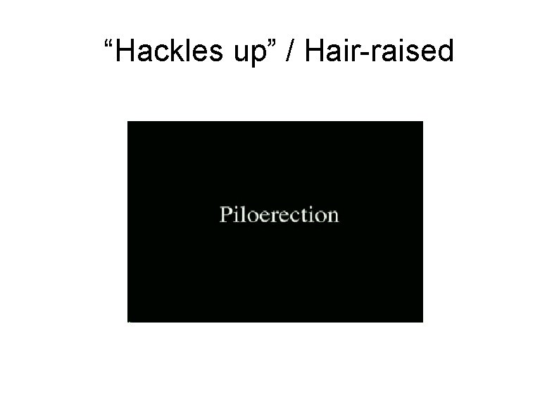 “Hackles up” / Hair-raised 