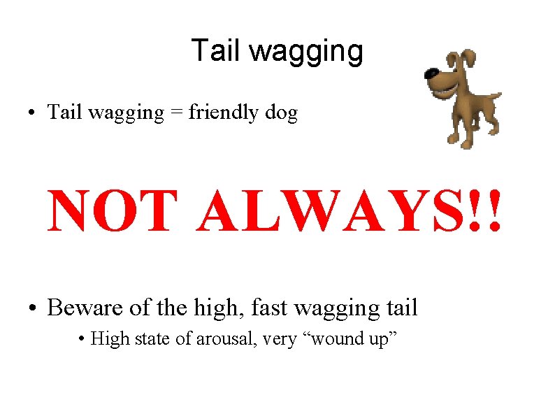 Tail wagging • Tail wagging = friendly dog NOT ALWAYS!! • Beware of the
