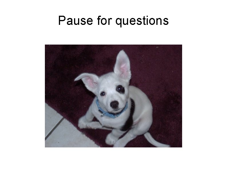 Pause for questions 