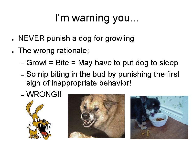 I'm warning you. . . ● NEVER punish a dog for growling ● The
