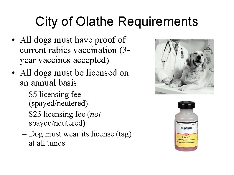 City of Olathe Requirements • All dogs must have proof of current rabies vaccination
