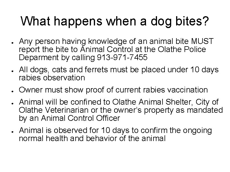 What happens when a dog bites? ● ● ● Any person having knowledge of