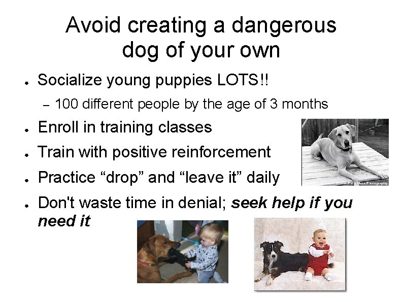 Avoid creating a dangerous dog of your own ● Socialize young puppies LOTS!! –