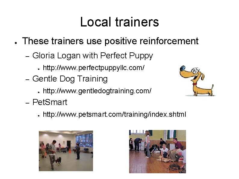 Local trainers ● These trainers use positive reinforcement – Gloria Logan with Perfect Puppy