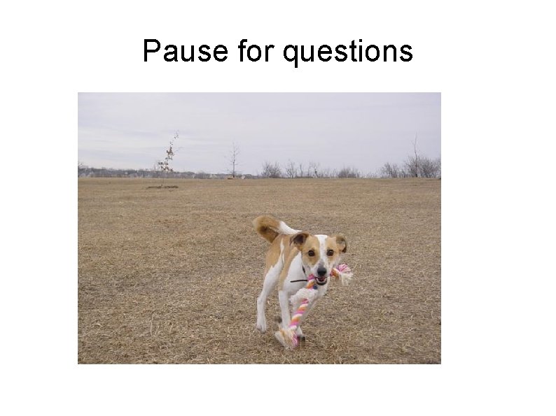 Pause for questions 