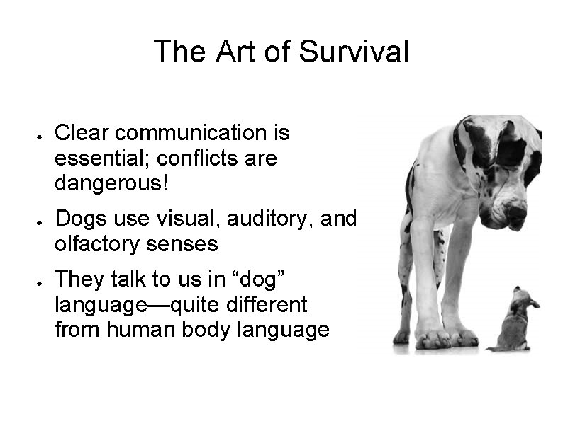 The Art of Survival ● ● ● Clear communication is essential; conflicts are dangerous!