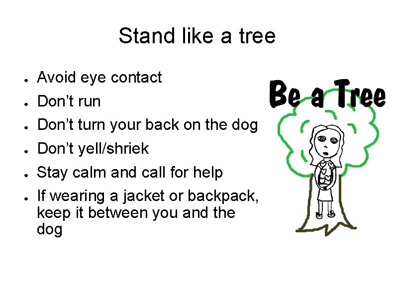 Stand like a tree ● ● ● Avoid eye contact Don’t run Don’t turn