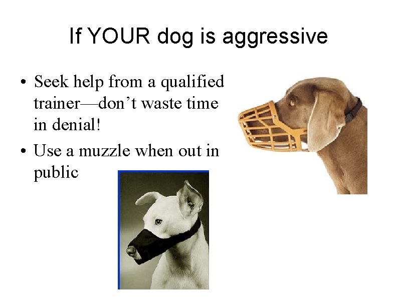 If YOUR dog is aggressive • Seek help from a qualified trainer—don’t waste time