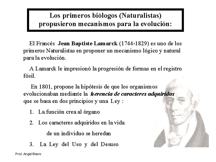 Los primeros biólogos (Naturalistas) propusieron mecanismos para la evolución: El Francés Jean Baptiste Lamarck