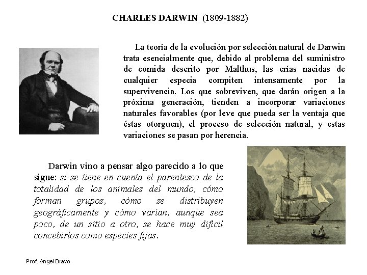 CHARLES DARWIN (1809 -1882) La teoría de la evolución por selección natural de Darwin