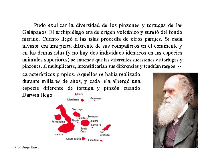  Pudo explicar la diversidad de los pinzones y tortugas de las Galápagos. El