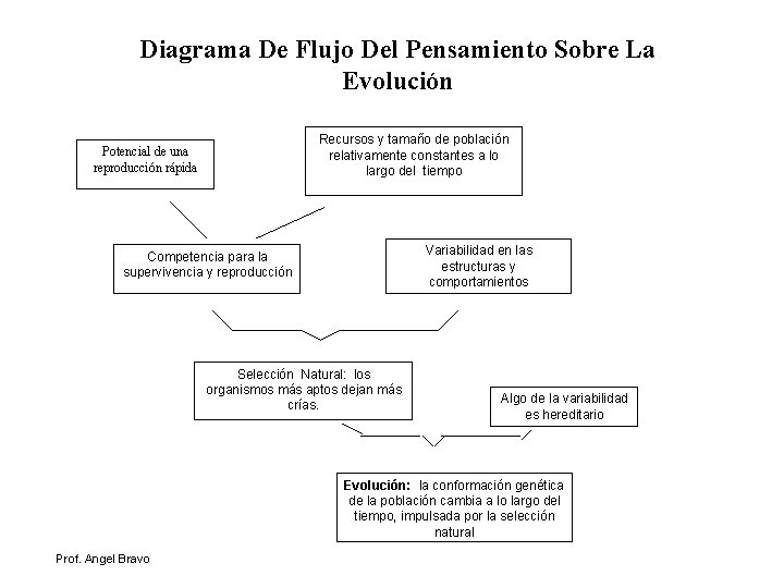 Diagrama De Flujo Del Pensamiento Sobre La Evolución Recursos y tamaño de población relativamente