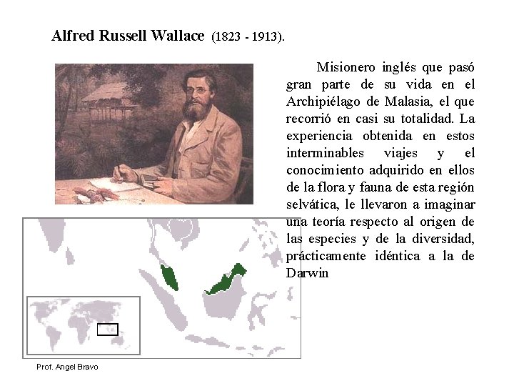 Alfred Russell Wallace (1823 - 1913). Misionero inglés que pasó gran parte de su