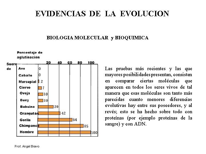 EVIDENCIAS DE LA EVOLUCION BIOLOGIA MOLECULAR y BIOQUIMICA Las pruebas más recientes y las