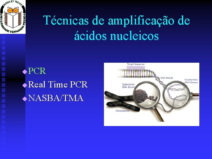 Técnicas de amplificação de ácidos nucleicos PCR u Real Time PCR u NASBA/TMA u