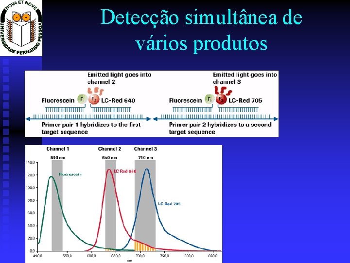 Detecção simultânea de vários produtos 