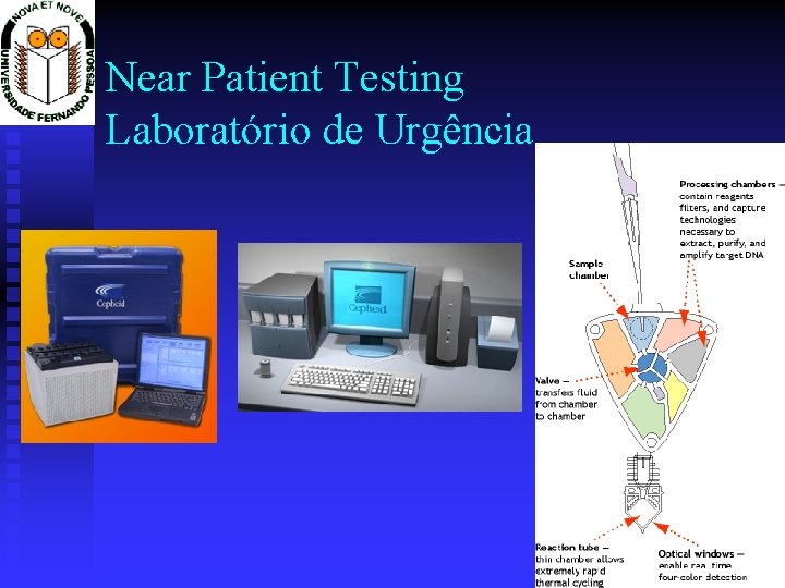 Near Patient Testing Laboratório de Urgência 