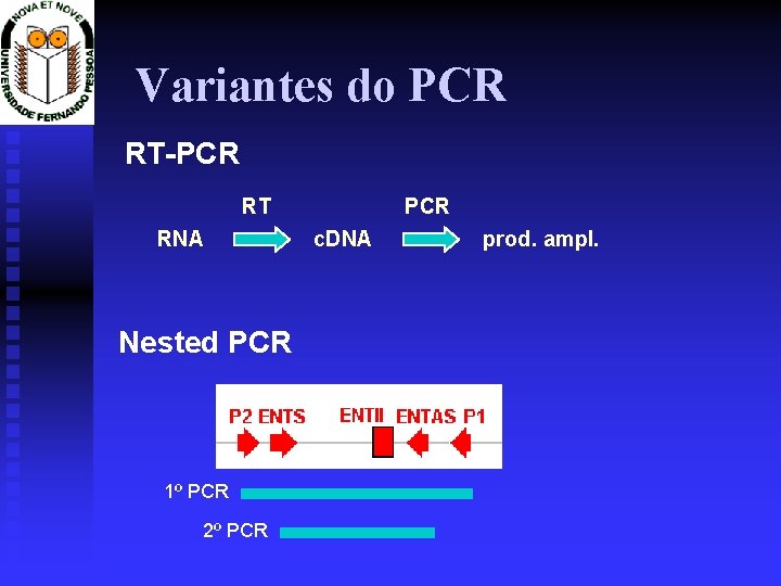 Variantes do PCR RT-PCR RT RNA Nested PCR 1º PCR 2º PCR c. DNA