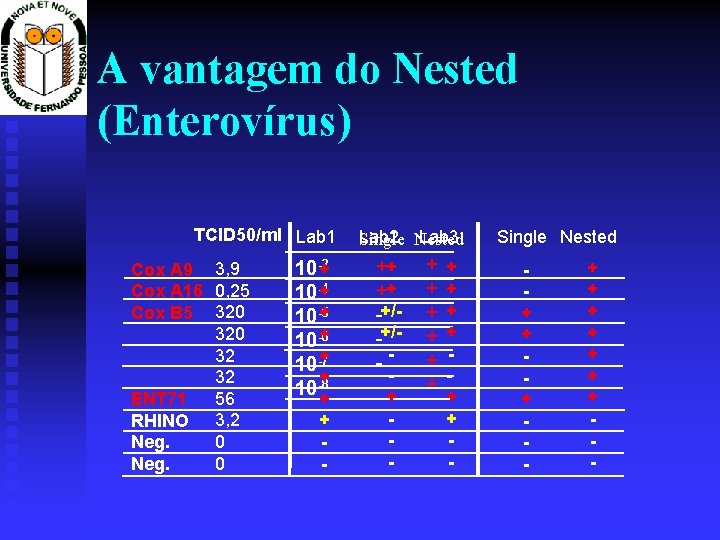 A vantagem do Nested (Enterovírus) TCID 50/ml Lab 1 Cox A 9 3, 9
