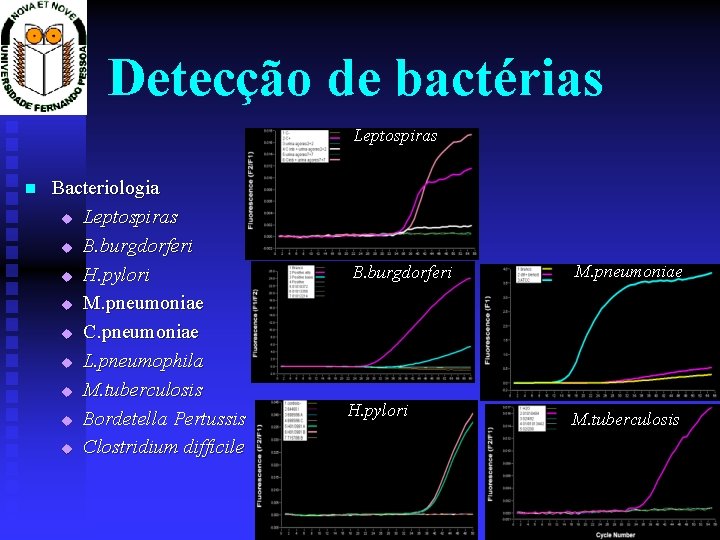 Detecção de bactérias Leptospiras Bacteriologia u Leptospiras u B. burgdorferi u H. pylori u