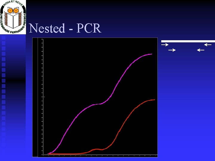 Nested - PCR 