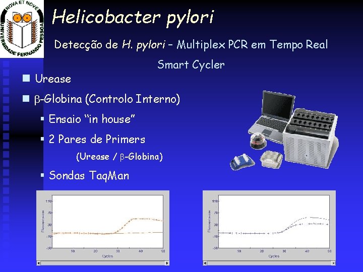 Helicobacter pylori Detecção de H. pylori – Multiplex PCR em Tempo Real Smart Cycler