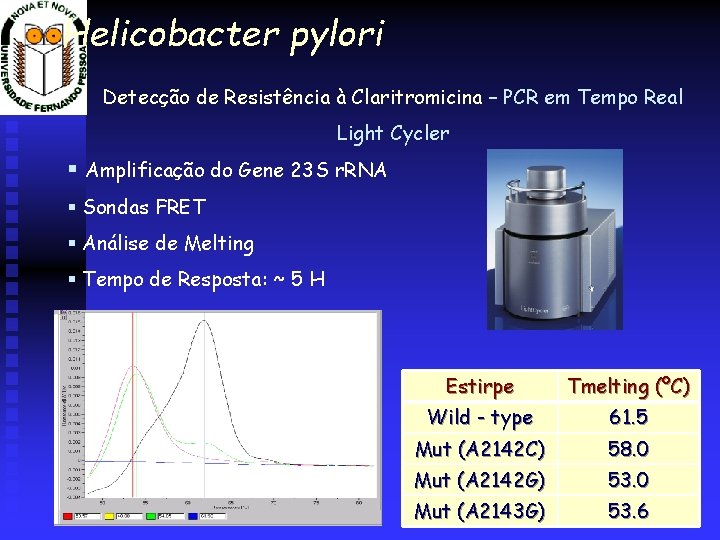 Helicobacter pylori Detecção de Resistência à Claritromicina – PCR em Tempo Real Light Cycler