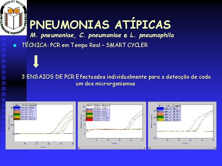 PNEUMONIAS ATÍPICAS M. pneumoniae, C. pneumoniae e L. pneumophila TÉCNICA: PCR em Tempo Real