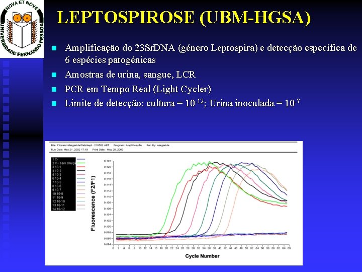 LEPTOSPIROSE (UBM-HGSA) Amplificação do 23 Sr. DNA (género Leptospira) e detecção específica de 6