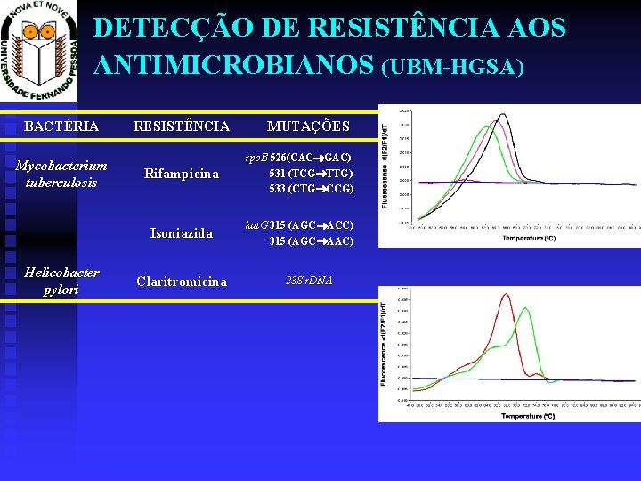 DETECÇÃO DE RESISTÊNCIA AOS ANTIMICROBIANOS (UBM-HGSA) BACTÉRIA Mycobacterium tuberculosis Helicobacter pylori RESISTÊNCIA MUTAÇÕES Rifampicina