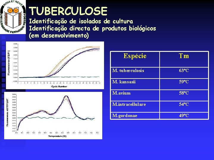 TUBERCULOSE Identificação de isolados de cultura Identificação directa de produtos biológicos (em desenvolvimento) Espécie