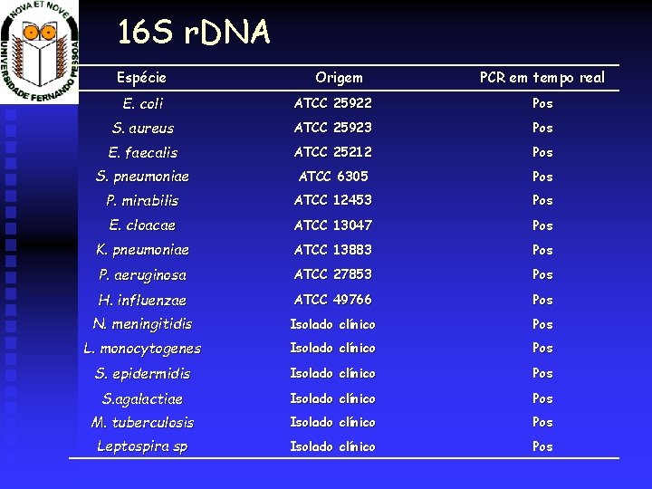 16 S r. DNA Espécie Origem PCR em tempo real E. coli ATCC 25922