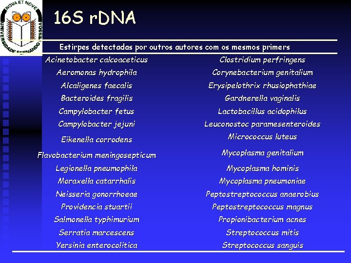 16 S r. DNA Estirpes detectadas por outros autores com os mesmos primers Acinetobacter